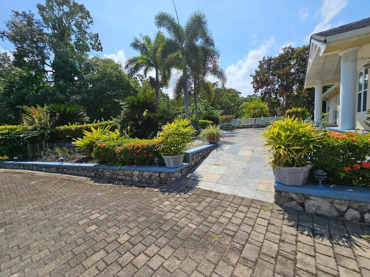 Spicy Hill Villa Port Antonio